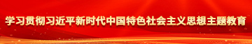 国产破处自拍学习贯彻习近平新时代中国特色社会主义思想主题教育